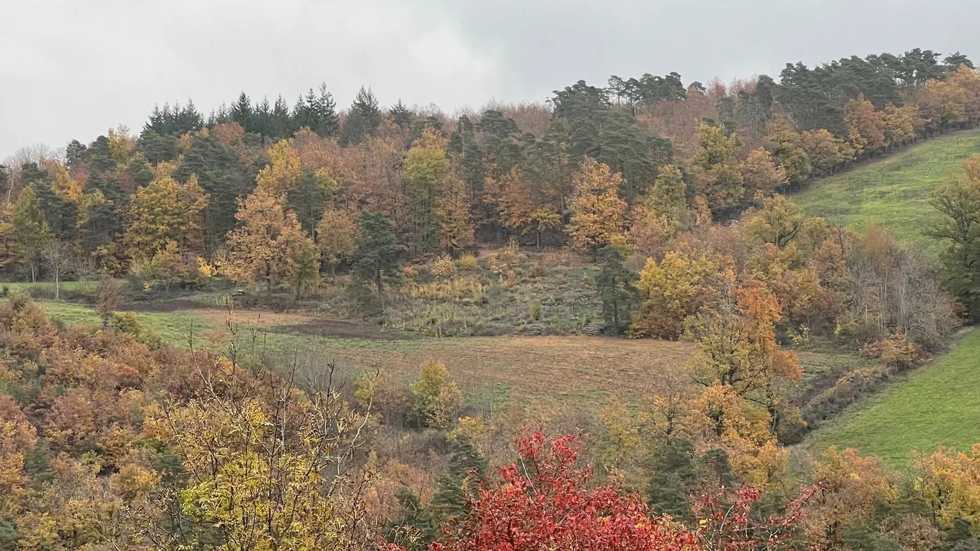 Maison D'Hotes L'Escale Du Loup Blanc Maringes 0*,  Frankrijk